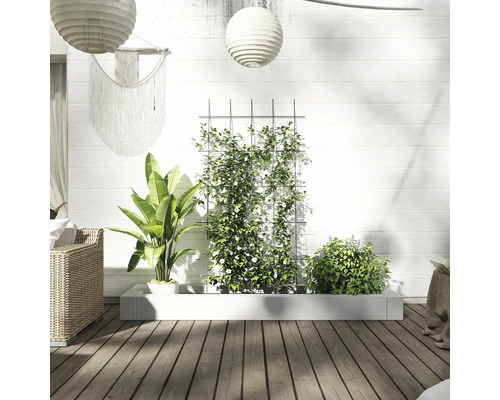 Spațiu exterior decorativ cu jardinieră, plante cățărătoare, mobilier de relaxare și elemente decorative