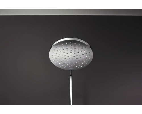 Duș de cap rotund din metal cu braț de duș