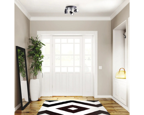 Hol cu lampă de plafon, oglindă, plantă, covor și ușă albă