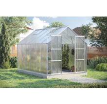 Seră în grădină cu plante