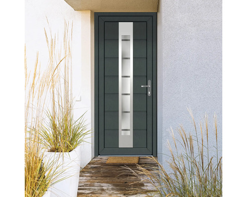 Ușă de intrare cu inserție de sticlă în fața fațadei cu plante