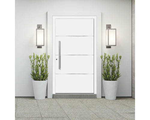 Ușă de intrare modernă cu mâner din oțel inoxidabil, iluminare laterală și plante în ghivece.