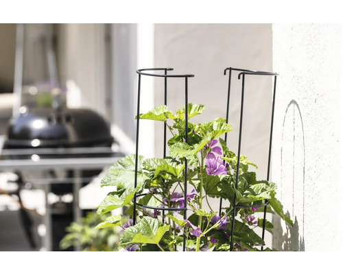 Jardină de flori cu suport pentru plante cățărătoare și plante cu flori