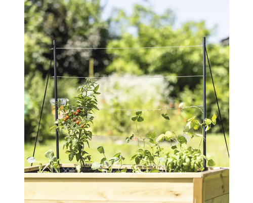 Strat de flori înalt cu suport pentru plante și diverse legume