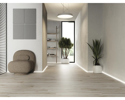 Hol luminos cu fotolii, panouri de perete și plante