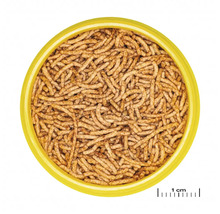 Bol cu hrană pentru păsări cu insecte