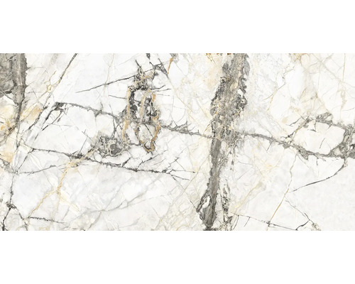 Gresie exterior / interior porțelanată rectificată Calabria Golden Ice 60x120 cm Model de faianță cu aspect de marmură și vinișoare fine gri