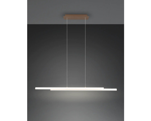 Lumină suspendată modernă cu design simplu pentru interioare