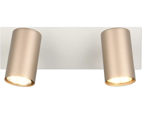 Două spoturi de tavan pe o placă de montaj