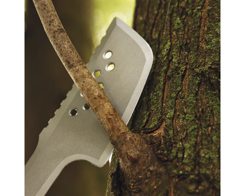 Prim-plan cu un topor înfipt într-un copac.