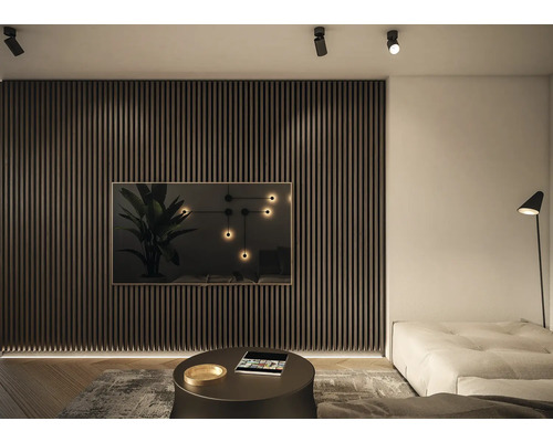 Living modern cu perete cu panouri din lemn, televizor și canapea