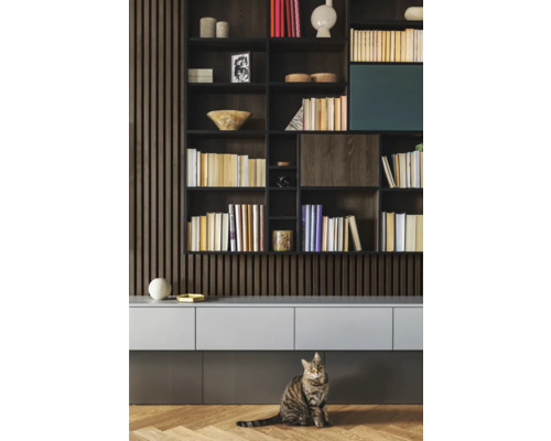 Cameră de zi cu bibliotecă, comodă și pisică