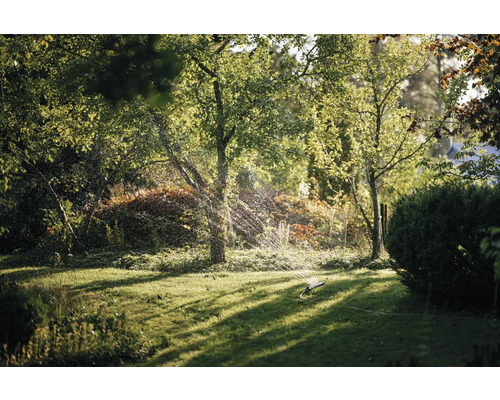 Gazon irigat cu aspersor de gazon printre copaci