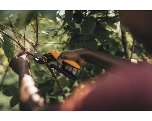 Grădinărit: O persoană taie un copac cu o foarfecă de grădină.