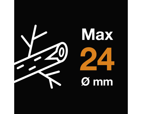 Grosimea maximă a crengilor 24 mm