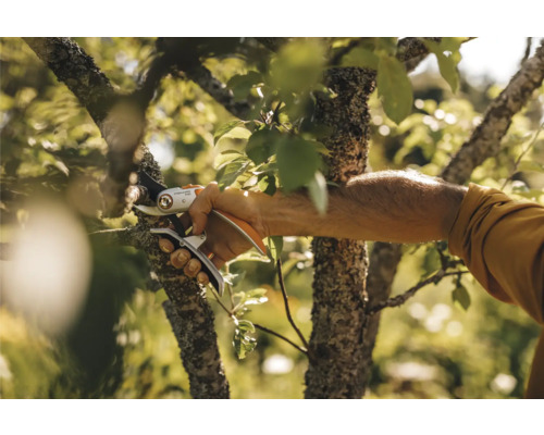 O persoană taie o ramură cu o foarfecă de grădină