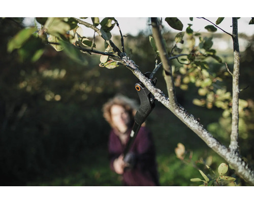 O persoană taie o ramură cu o foarfecă de grădină.