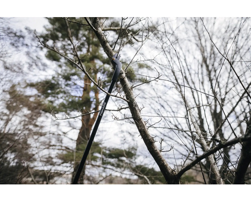 Foarfecele de grădinărit taie o ramură de copac