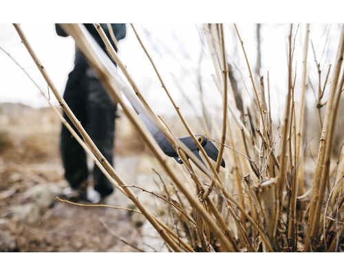 Foarfecă de grădinărit tăind ramuri în grădină