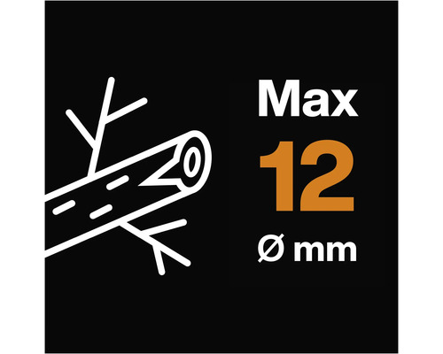 Grosimea maximă a ramurii 12 milimetri