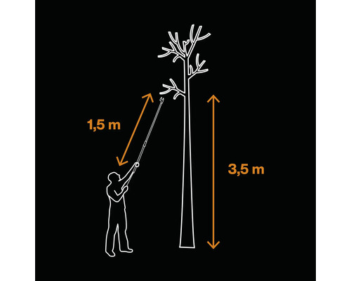 Ilustrație cu o persoană care taie un copac înalt de 3,5 metri cu un foarfece de crengi. Foarfecele de crengi are o rază de acțiune de 1,5 metri.