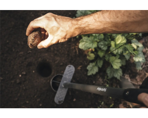 O persoană ține un bulb de floare deasupra unei gropi de plantare în grădină, lângă un instrument de plantare Fiskars.