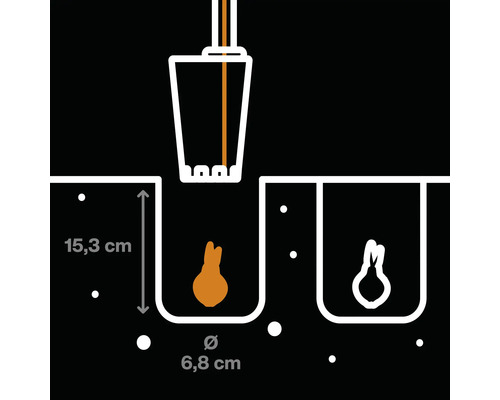 Ilustrație cu un bulb de floare plantat în pământ cu un instrument de plantare. Adâncimea de plantare este de 15,3 cm, iar diametrul orificiului este de 6,8 cm.