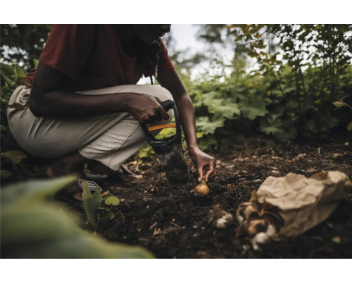 O persoană plantează bulbi de flori cu o lopată în grădină.
