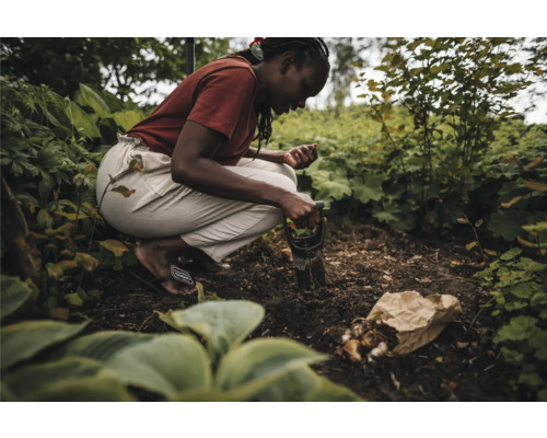 Femeie care plantează bulbi de flori cu o plantatoare într-o grădină.