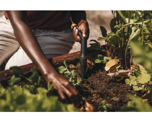 O persoană plantează răsaduri cu un plantator într-o grădină supraînălțată.
