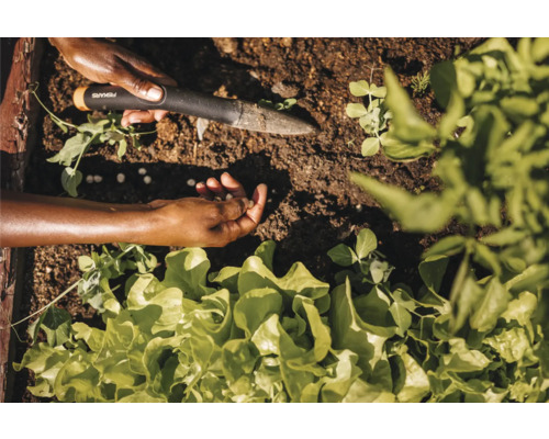 O persoană plantează semințe și răsaduri într-o grădină supraînălțată folosind o mistrie de plantare.