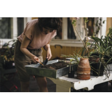 Femeie lucrează cu o lopată într-un recipient pentru plante cu pământ pe o masă, înconjurată de plante.