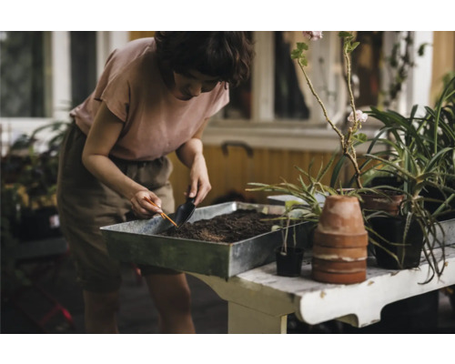 Femeie lucrează cu o lopată într-un recipient pentru plante cu pământ pe o masă, înconjurată de plante.