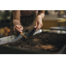 O persoană plantează semințe cu un plantator și o lopată în pământ.