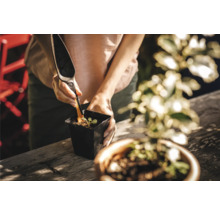 O persoană plantează o plantă cu o lopată de plantare într-un ghiveci.