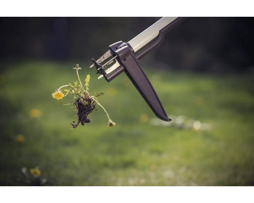 Dispozitiv de scos buruieni cu păpădie smulsă în grădină