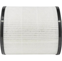 Filtru de aer pentru aspirator
