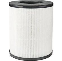 Filtru de aer pentru aspirator
