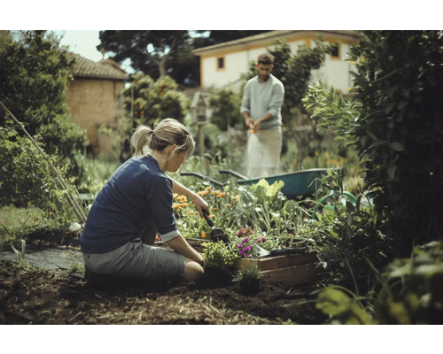 Femeie plantează flori în grădină, în timp ce bărbatul udă cu furtunul de grădină