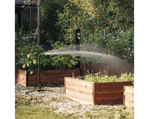 Scenă de grădină cu un aspersor de gazon care udă plantele din straturile înălțate.