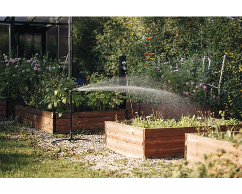 Irigarea într-o grădină cu straturi înălțate printr-un aspersor de gazon.