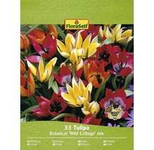 FloraSelf 33 Lalele Botanical Wild Cottage mix