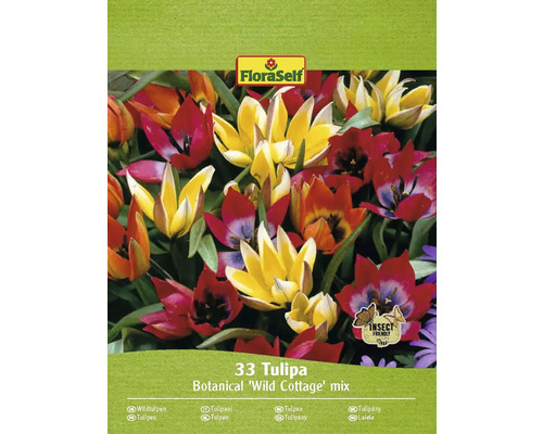 Bulbi de lalele FloraSelf Wild Cottage mix 11/12 33 buc.