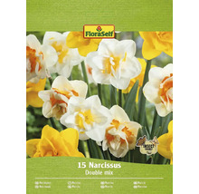 FloraSelf Narcise Double Mix, pachet de 15 bucăți