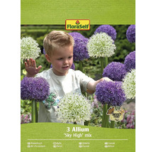 Pachet cu trei bulbi de Allium ''Sky High'' Mix