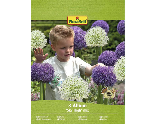 Bulbi de flori FloraSelf Allium Sky High mix 3 buc.