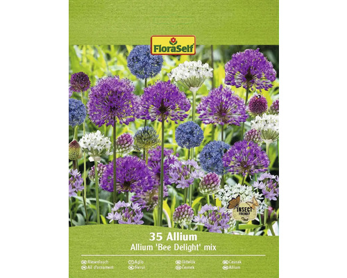 Bulbi de flori FloraSelf Allium Bee Delight mix 35 buc.