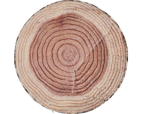 Rondelă de trunchi de copac cu inele anuale