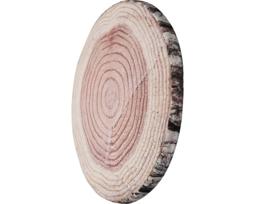 Felie de trunchi de copac cu inele de creștere