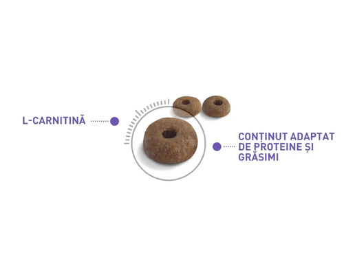 Hrană pentru câini cu L-carnitină și conținut adaptat de proteine și grăsimi